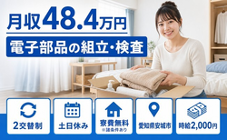 愛知県安城市の寮費無料※諸条件あり求人！電子部品の組立・検査・土日休みの詳細画像