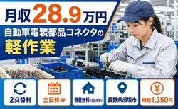 自動車電装部品コネクタの軽作業（長野県須坂市）寮費無料※諸条件ありで土日休みの詳細画像