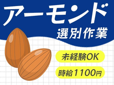 アーモンドの選別作業！未経験者が活躍中★人気のお菓子製造スタッフ募集！時給1100円〜★の詳細画像