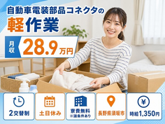 自動車電装部品コネクタの軽作業（長野県須坂市）寮費無料※諸条件ありで土日休みの詳細画像