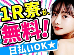 \スマートフォンのコネクタ部品の外観検査/【ワンルーム寮完備】【正社員】【月給23万円】の詳細画像